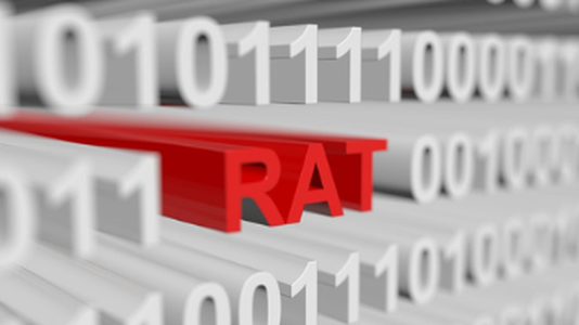 Aussie Allegedly Built Notorious RAT When He Was 15