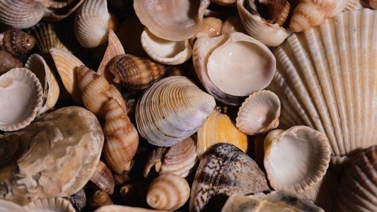 Russian Seashell Blizzard Enlists Specialist Initial Access Subgroup to Expand Ops