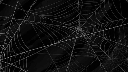 Dark Web User Numbers Spiked During #COVID19 Lockdown