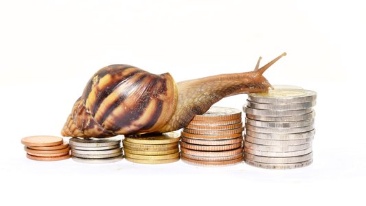 CISOs Receive Smaller Raises and Bonuses in 2023
