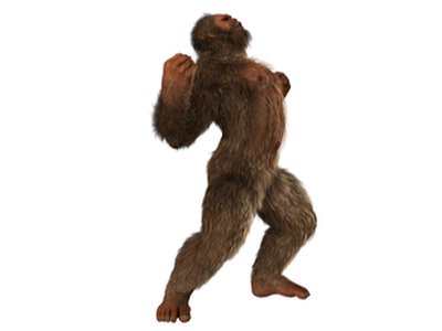 Infrastructure of APT Group Crouching Yeti Uncovered