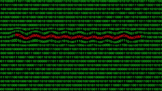 Raspberry Robin Worm Actors Linked to Clop, LockBit Ransomware Groups