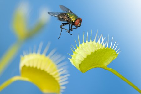New Android Trojan Hijacks Social Media