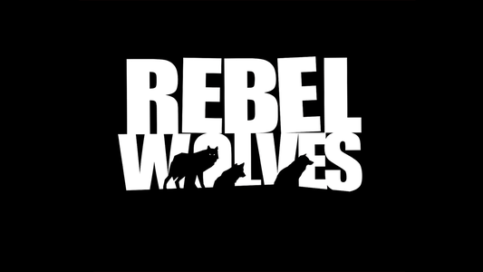 CDPR veteran Mateusz Tomaszkiewicz joins Rebel Wolves