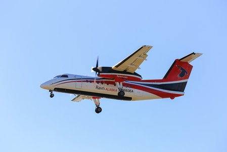 Cyber-Attack Grounds Flights in Alaska