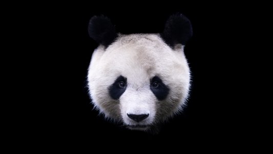Evasive Panda Targets Tibet With Trojanized Software