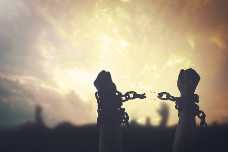 US Frees ISIL Cyber-Operative