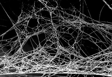 Firms Urged to Scour Dark Web for Breached Data