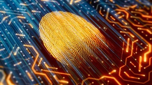 Only 14% of Online Users Frequently Use Biometric Authentication