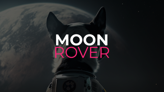 Moon Rover nets $3.5 million from NCSoft to develop emergent FPS