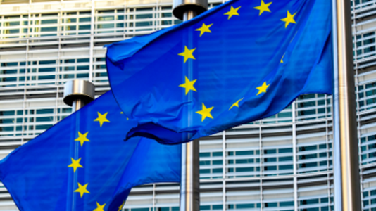 Russian DDoS Briefly Downs European Parliament Site