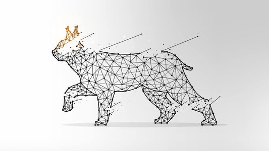 Lynx Ransomware Group Unveiled with Sophisticated Affiliate Program