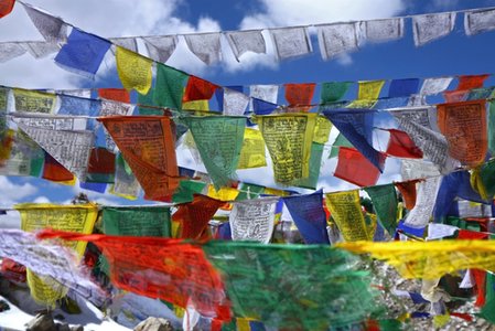 Tibetan, Uyghur activists fall victim to MiniDuke malware