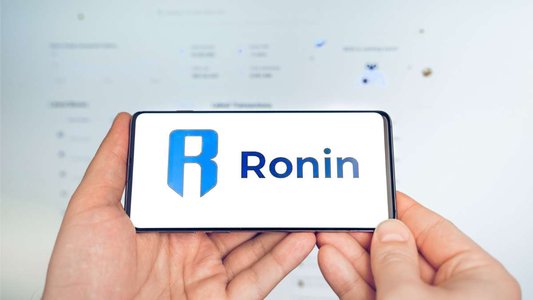 Ethical Hackers Steal and Return $12m to Ronin Network