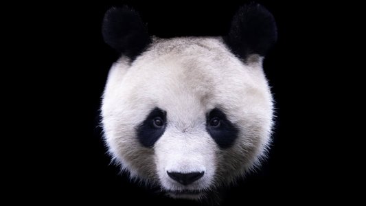 ToxicPanda Malware Targets Banking Apps on Android Devices