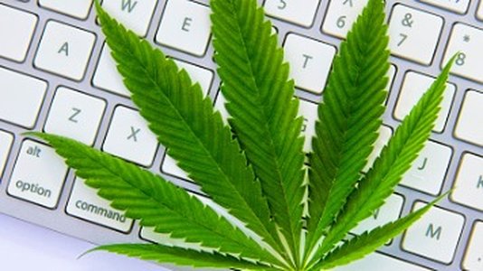 SEC Charges Man Over Cannabis Firm Pump-and-Dump