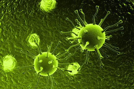 Virus on virus – set a thief to catch a thief