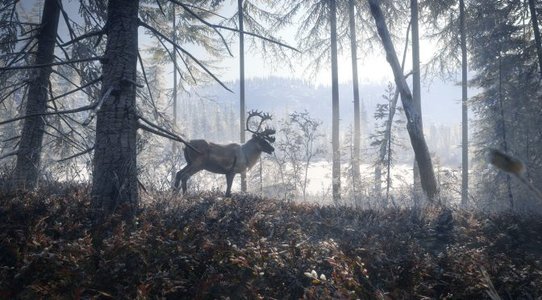 theHunter: Call of the Wild 2019 Edition is now available