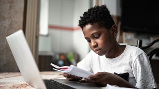 More Malware May Be Lurking on Govt School Laptops