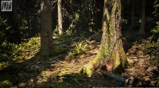 Unreal Engine 5 Conifer Forest is a new impressive tech demo that you can download