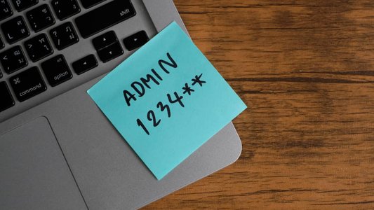Technology Manufacturers Urged to Eliminate Passwords