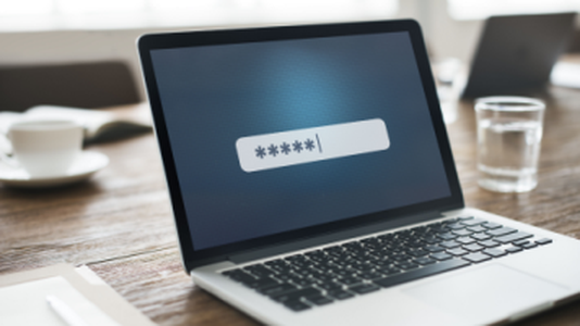 KeePass Flaw Exposes Master Passwords