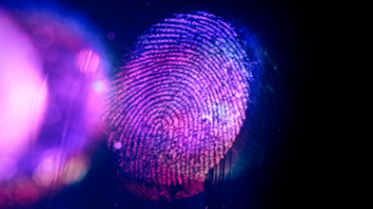 Identity Crimes Remain at All-Time High in 2022