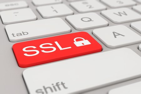 Don’t Panic: Latest OpenSSL Flaw Not a Heartbleed-Sized Bug