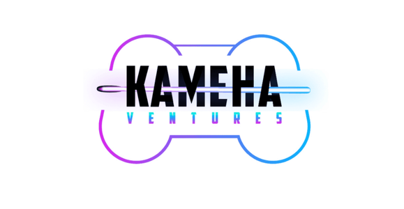 Venture capital firm Kameha Ventures launches $27m fund to support European game start-ups