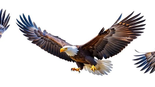 Blind Eagle Targets Colombian Government with Malicious .url Files