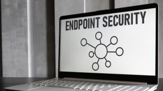 Over 10% of Enterprise IT Assets Found Missing Endpoint Protection
