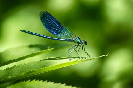 Dragonfly 2.0 Attackers Probe Energy Sector