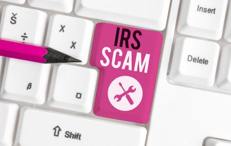 Midwest Gets First Cybercrime-Fighting Dog