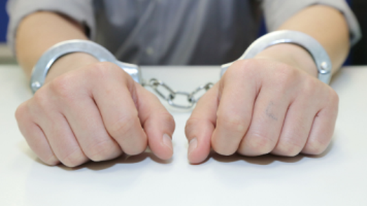 Zeus Botnet Suspected Leader Arrested in Geneva