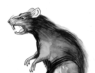 European Energy Firm Targeted by RAT Linked to Iran