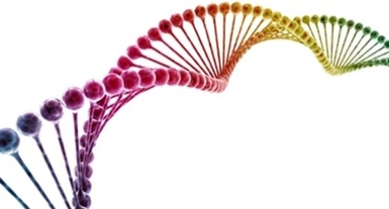 DNA Site MyHeritage Spills Data on 92m Users