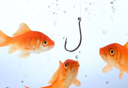Phishing Awareness Grows, but Volumes Increase