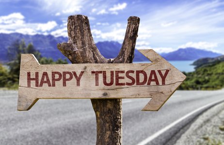 Microsoft Kicks Off 2015 with an All-Windows Patch Tuesday