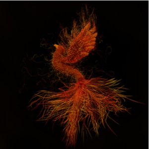 Raróg Crypto-Miner Allows Affordable Criminality