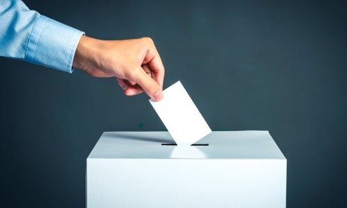US Elections Must Go Back to Paper — Report