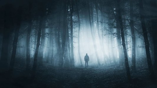 Teen Found Alive After “Cyber-Kidnapping” Incident
