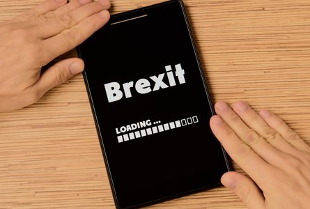 UK Government Brexit App Riddled with Security Issues