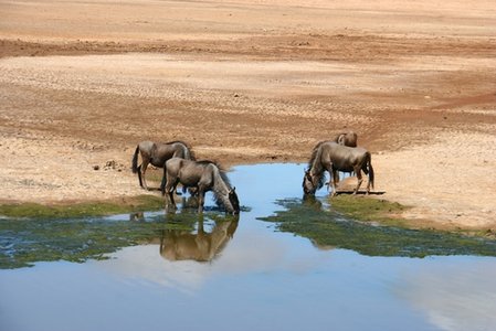 The Elderwood project – it started with Aurora, but continues today