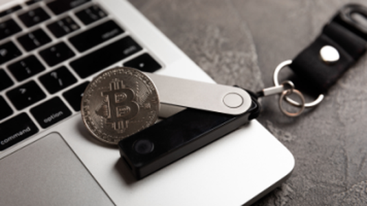 Cyber-Criminals Exploit Hardware Wallet to Steal Almost $30,000