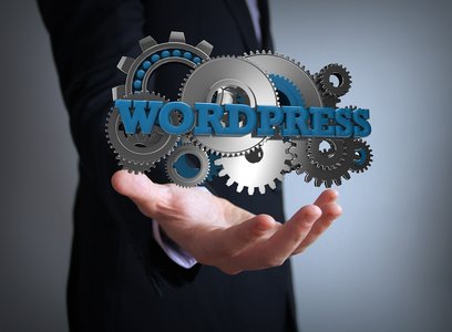 Fake WordPress Plugin Opens Sites to Criminals