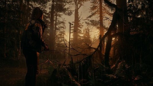 Epic's Alan Wake 2 heralds a new dawn of digital-only AAA games