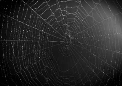 SolidBit Ransomware Group Recruiting New Affiliates on Dark Web