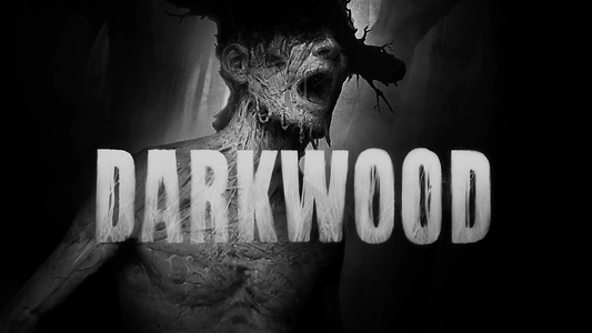 Darkwood developer taking indefinite hiatus to escape "destructive" work environment
