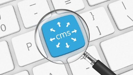Major Security Vulnerability Discovered in CMS System Used by US Army
