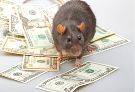 Financial Services Employees Targeted with RAT